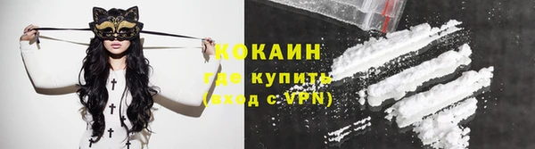 PSILOCYBIN Гусь-Хрустальный