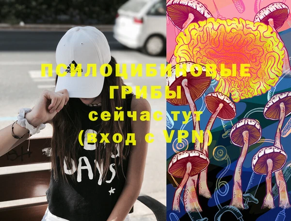 молекула духа Дмитровск